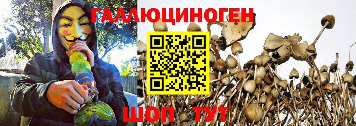 Псилоцибиновые грибы мухоморы Геленджик