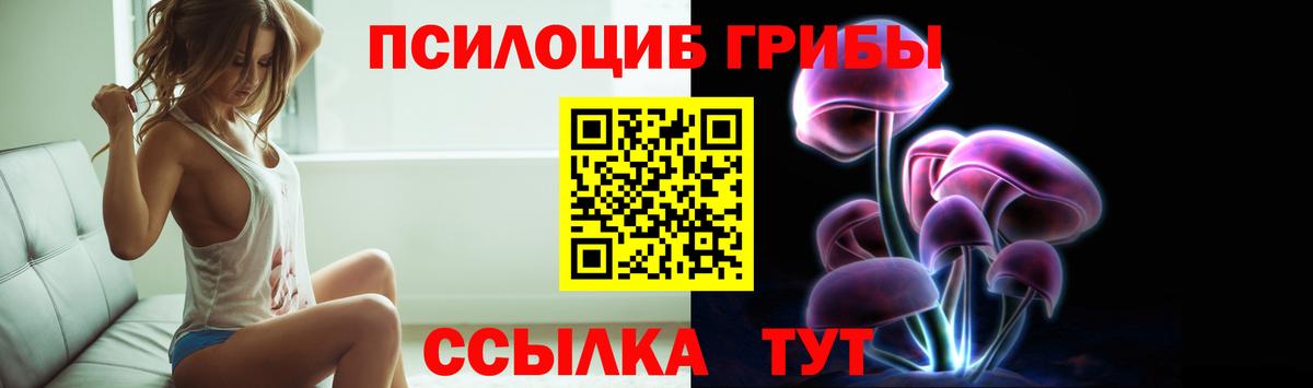 Геленджик  Галлюциногенные грибы прущие грибы  Вход с VPN 