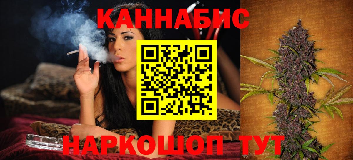 Шишки марихуана сатива  Каннабис планчик  Геленджик  Вход с VPN 